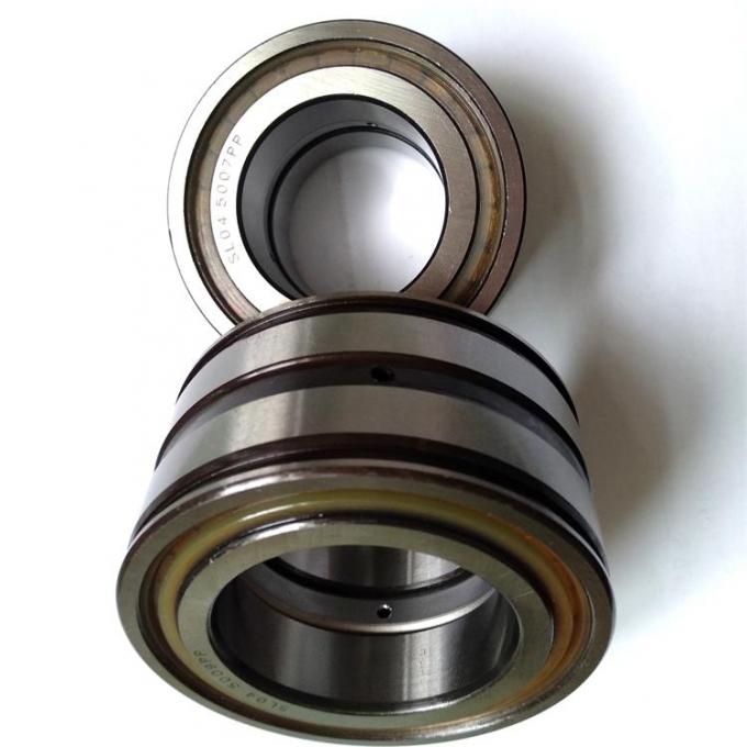 Full Complement Cylindrical Roller Bearings SL04 5010 PP